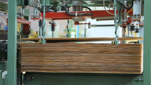 Technology of Plywood Production