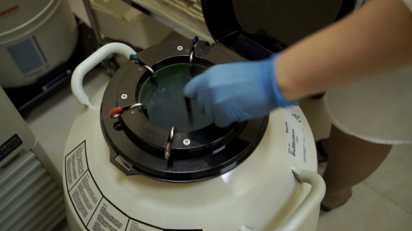 Freeze Donor Seminal Fluid In Liquid Nitrogen. The Machine For Sperm Freezing
