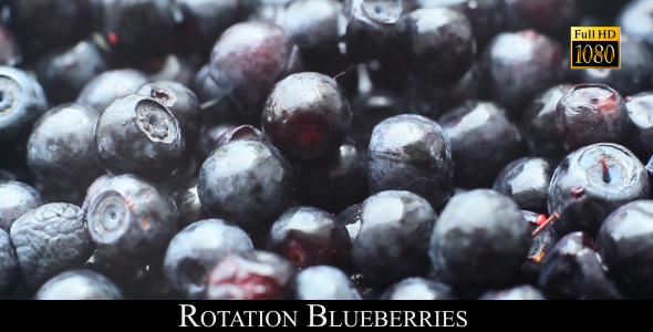 Rotation Blueberries 2