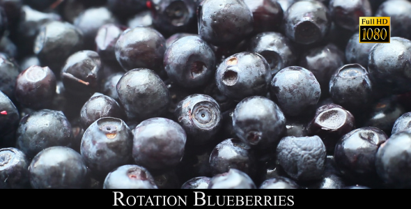 Rotation Blueberries 3