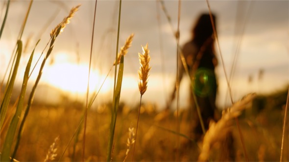 Girl Crossing A Wheat Field