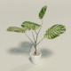 Tropical Plant - 3DOcean Item for Sale