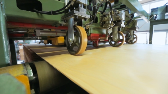 Automated Production Of Plywood Sheets