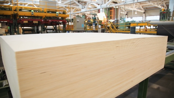 Sanded Plywood Sheets On The Conveyor