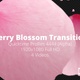 Cherry Blossom Transitions HD - VideoHive Item for Sale