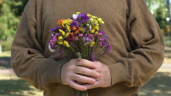Colorful Spring Flowers in Old Male Hands, Romantic Gift for Date, Affection
