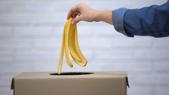 Hand Throwing Banana Peel Into Trash Bin, Recycling Waste Sorting, Closeup