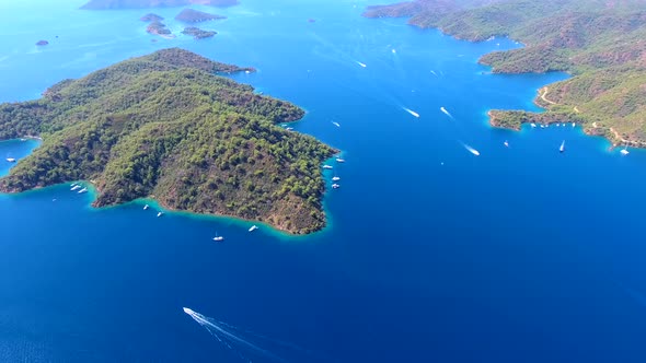 Calm and Uninhabited Forest Island in The Sea Without Human Habitation