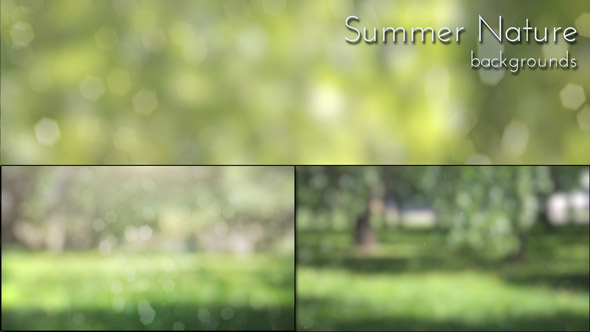 Summer Nature Background
