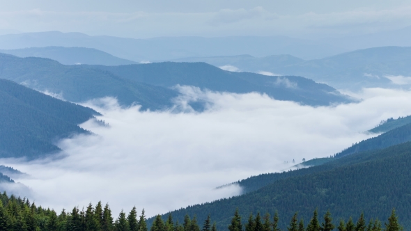 Mountain Forests Covering By Fog