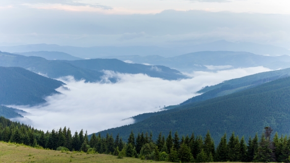 Mountain Forests Covering By Fog