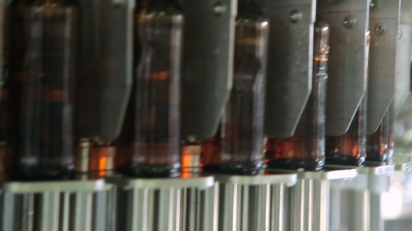 Beer Bottles On The Conveyor