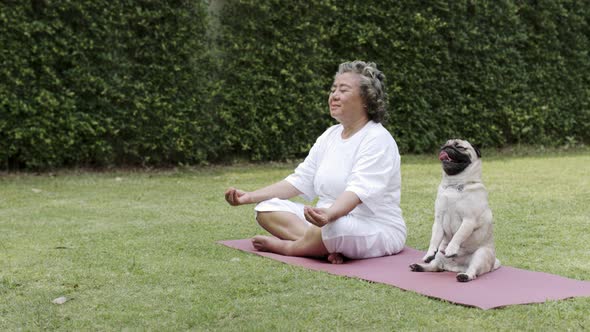 Asian Elderly woman practicing meditating yoga.