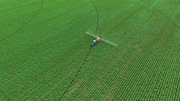 Spraying Potato Fields With Herbicides.The Protection Of Plants.