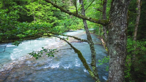 The Mountain River With Blue Water