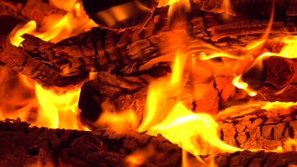   Video Of Burning Firewoods In a Fireplace
