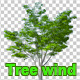 Tree in the wind - VideoHive Item for Sale
