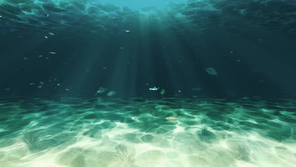 Underwater Background