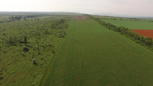 Green Agricultural Fields