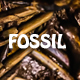 Prehistoric Fossil Background 3D - 3DOcean Item for Sale