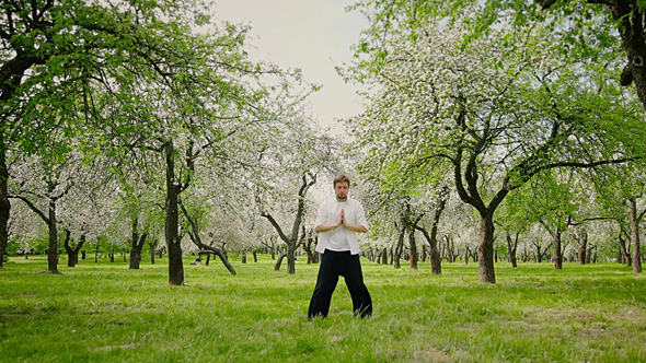 Qigong Practice in the Spring Park