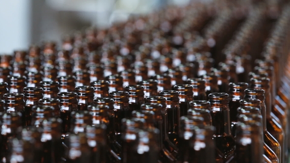 Dark Glass Bottles On The Conveyor