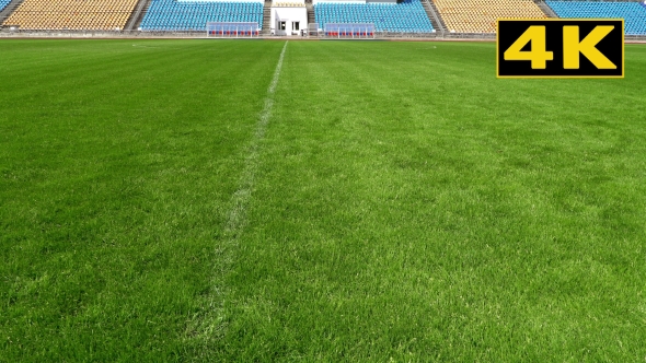  Image Of Natural Green Grass Soccer Field