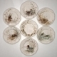 Collector Plates Nature Set - 3DOcean Item for Sale