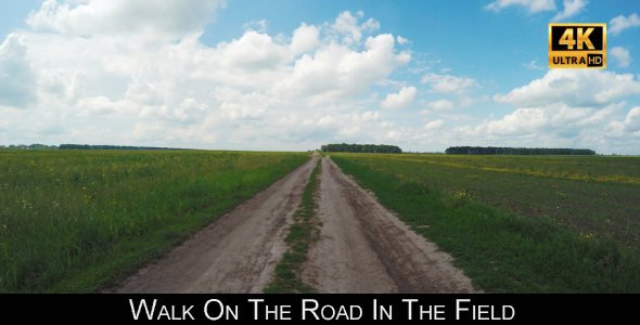 Walk On The Road In The Field