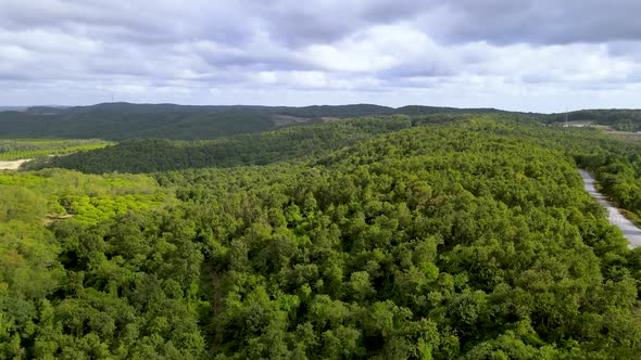 Drone flight over the north Istanbul forest. Cloudy sky and green nature