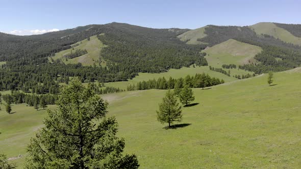 Green Meadows in The Sparsely Wooded Between Forest Covered Hills with Aerial View