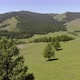 Green Meadows in The Sparsely Wooded Between Forest Covered Hills with Aerial View - VideoHive Item for Sale
