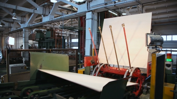 Automated Production Of Plywood