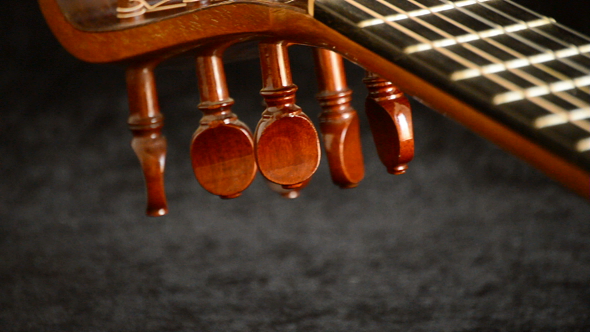 Pegbox and Fingerboard of Guitar Pear