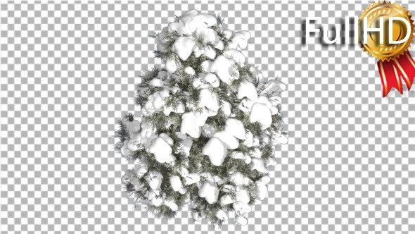 Cedar Top Down Eastern Red Cedar Snow on Tree alt