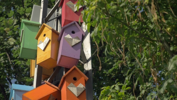 Colorful Birdhouses In The Park