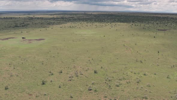 Safari game drive in Laikipia, Kenya. High aerial drone of 4 wheel drive driving through African sav