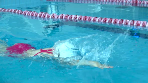 Male Swimmer Starting Block and Start Swims in Pool, Professional Athlete Training