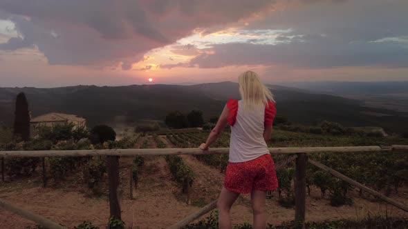Vineyards of Winegrowing Tuscany Sunset