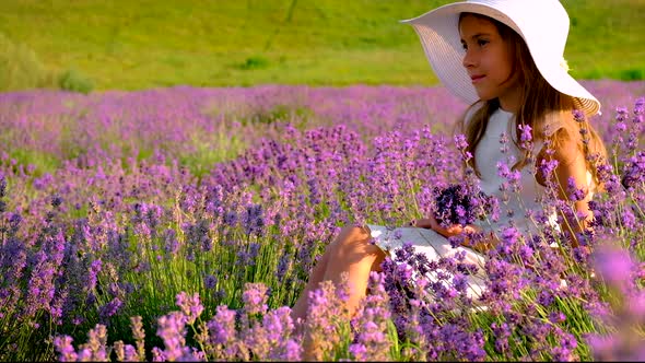 Child Girl in Flowers Lavender Field