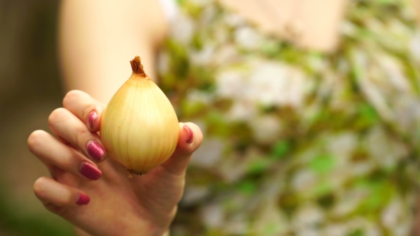 Footage Woman Holding a Onion
