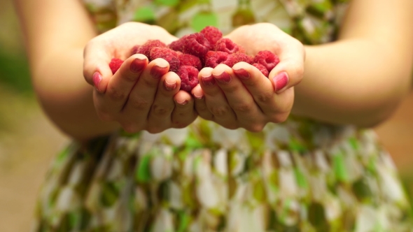 Footage Woman Holding a Raspberry . 