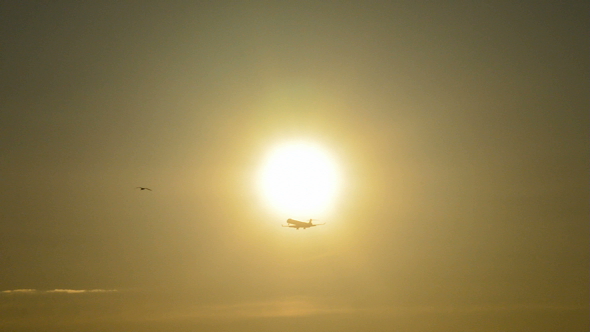 Airplane Arriving at Sunset alt