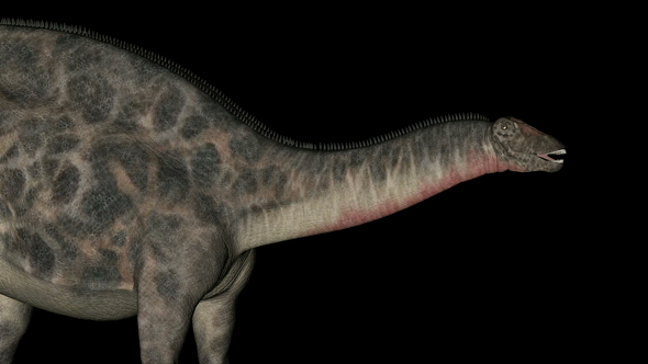 Dicraeosaurus Dinosaur in Rotation