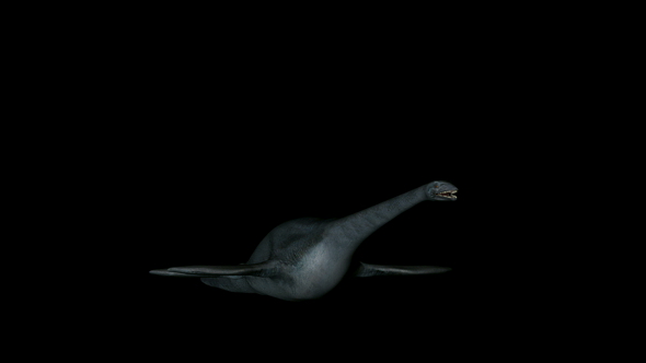 Elasmosaurus Dinosaur in Rotation on Black Background