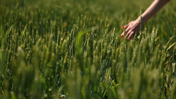 Cute Girl Walking On Green Field With Open Arms