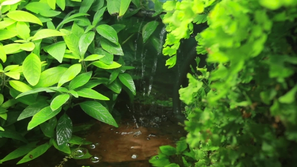 Artificial Waterfall In Tropical City Garden