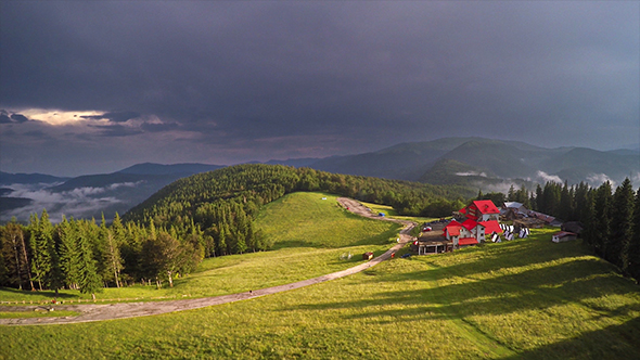 Aerial View of Forest After the Storm