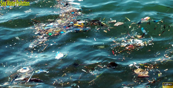 Sea Water Pollution