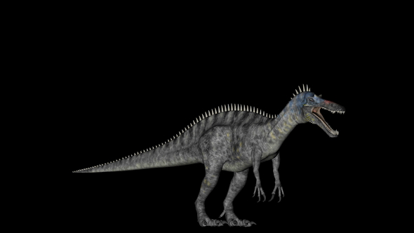 Suchomimus Dinosaur in Rotation on Black Background alt